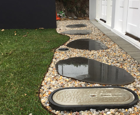 forrest street images